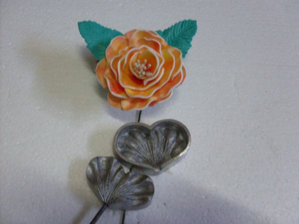 Frisador portuguesa- papoula portuguesa
